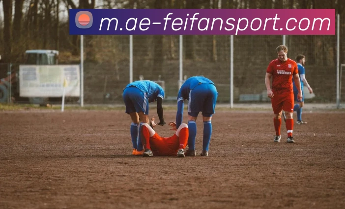 非凡体育平台生态图