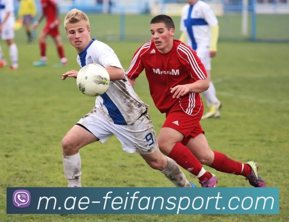 非凡体育APP 封面图